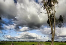 虎扑体育官网：阿斯：若球员因战胜马竞后的庆祝被追加处罚，皇马将进行上诉.