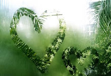 官方:费迪南德的儿子离开布莱顿加盟英格兰第七级别球队.